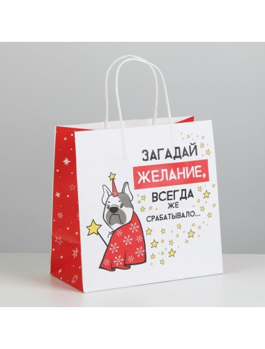 Пакет подарочный "загадай желание, всегда же срабатывало" 22х22х11 см